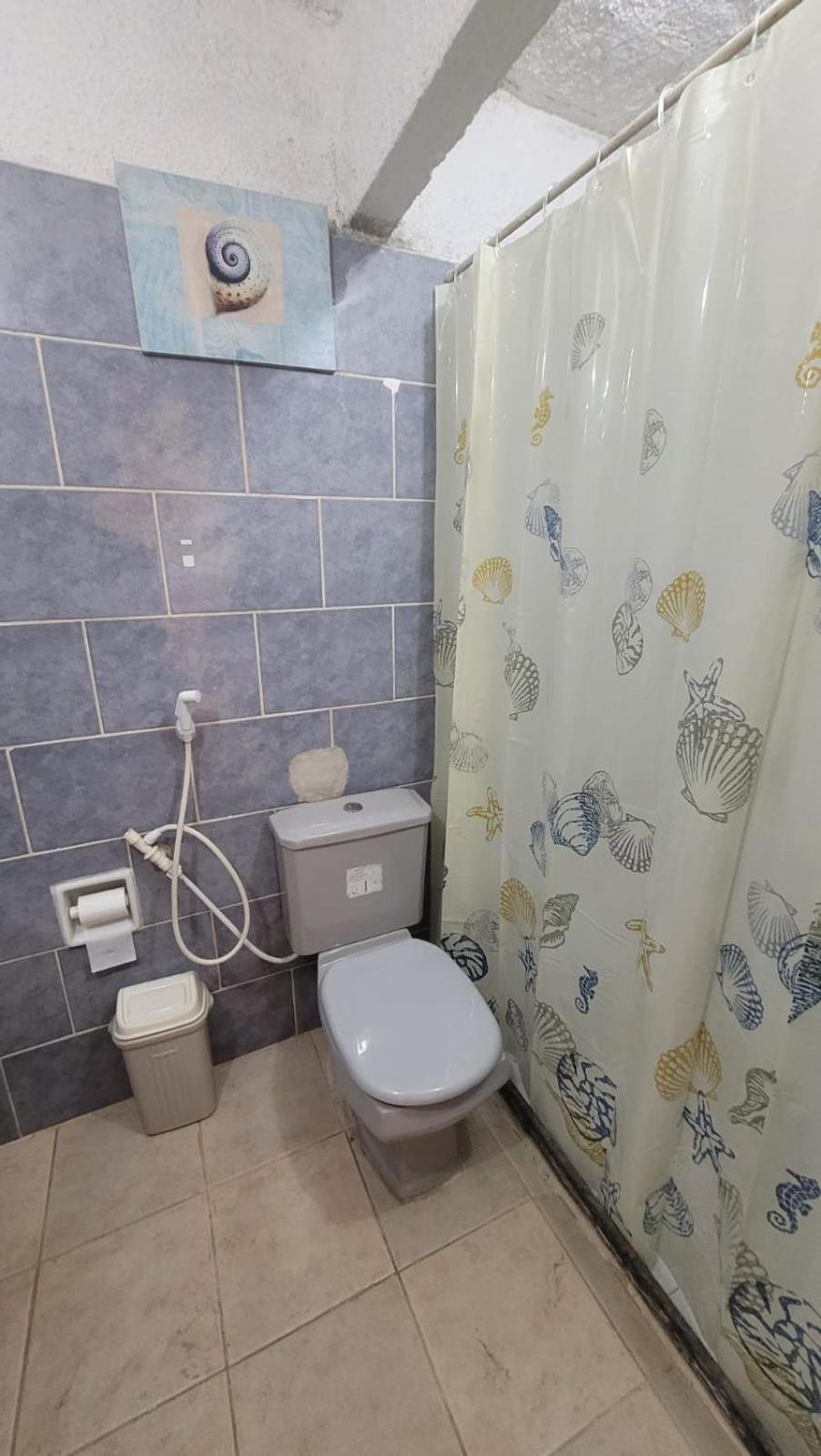 Bela Ossos Holiday home